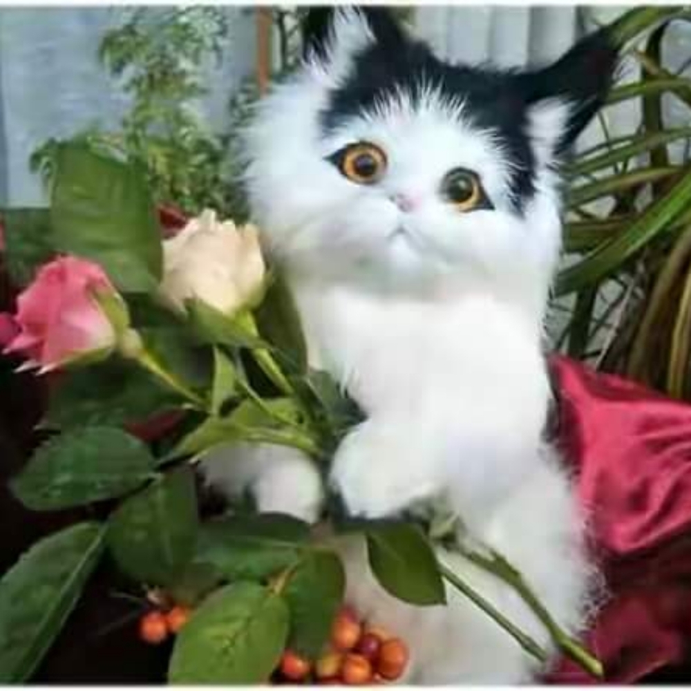 Meet your Posher 🌹 Nikki